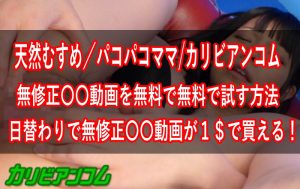 【DTI】カリビアンコム・天然むすめ・パコパコママを無料で試す方法